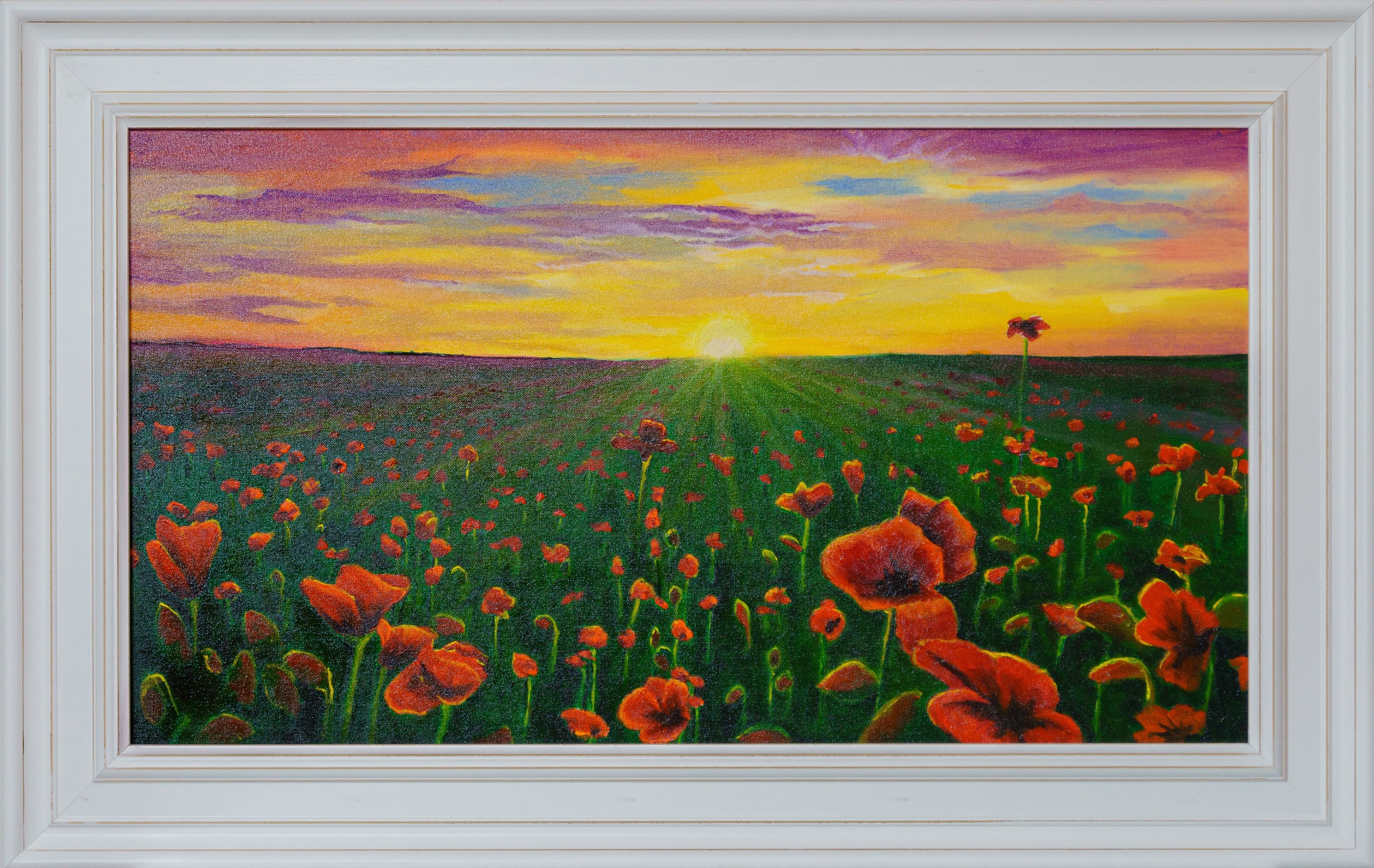 Poppies in the Early Morning
