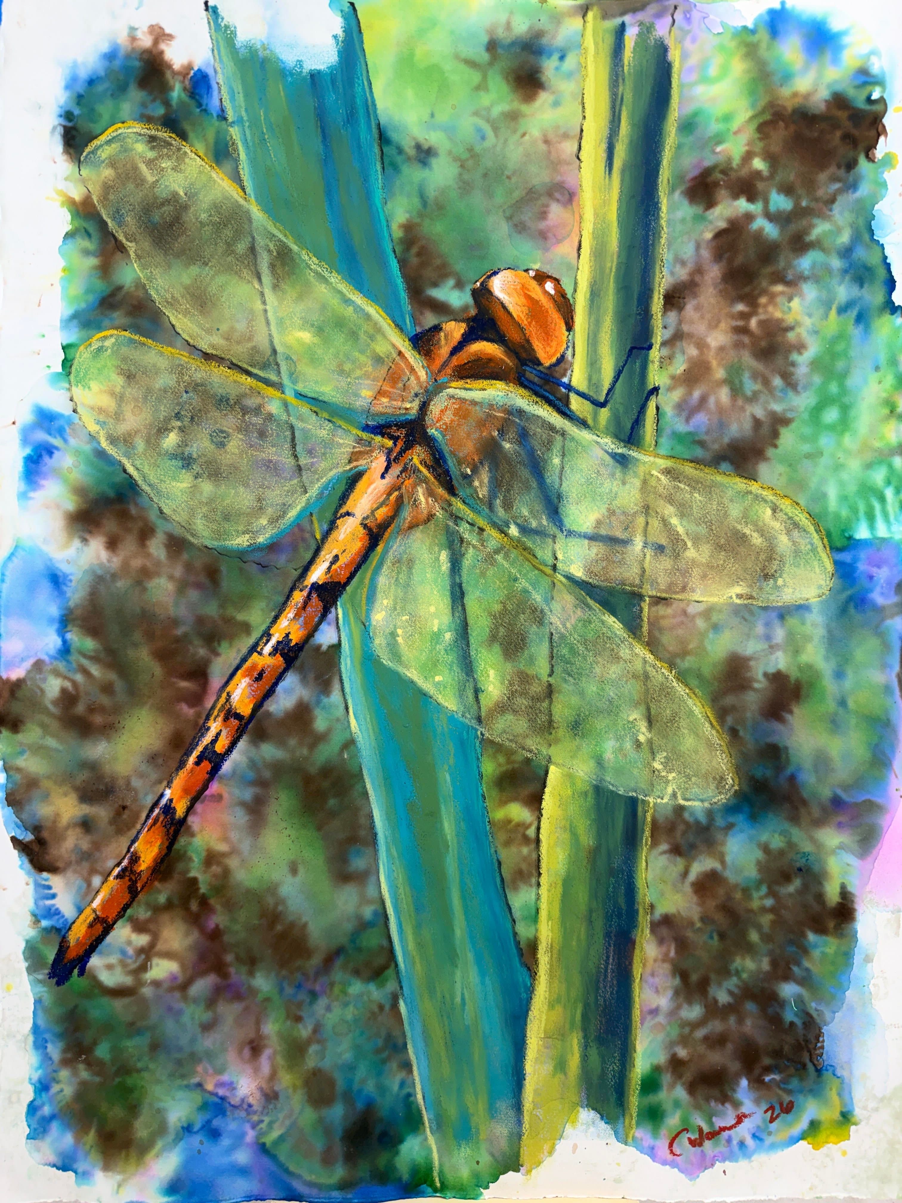 Damaged Wing